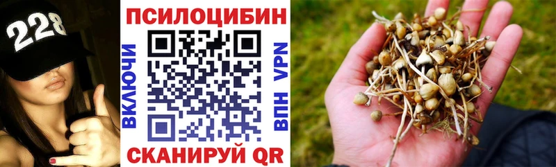 Псилоцибиновые грибы Cubensis  Красково 